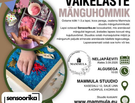 Väikelaste mänguhommik